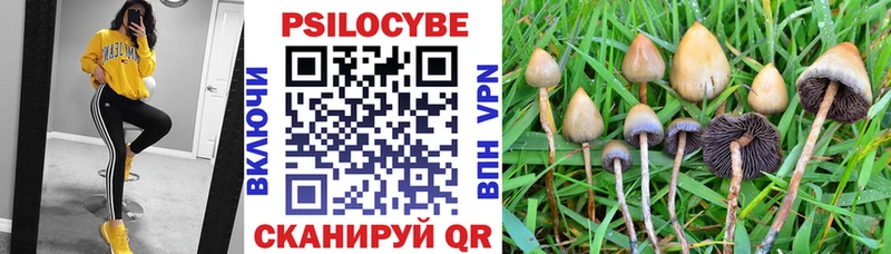 гидра маркетплейс Правдинск Псилоцибиновые грибы Magic Shrooms